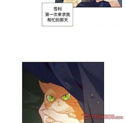 《神父的病历簿》第96话 第49页