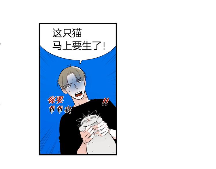 《七日之秘》第56话 龙的气息 第11页