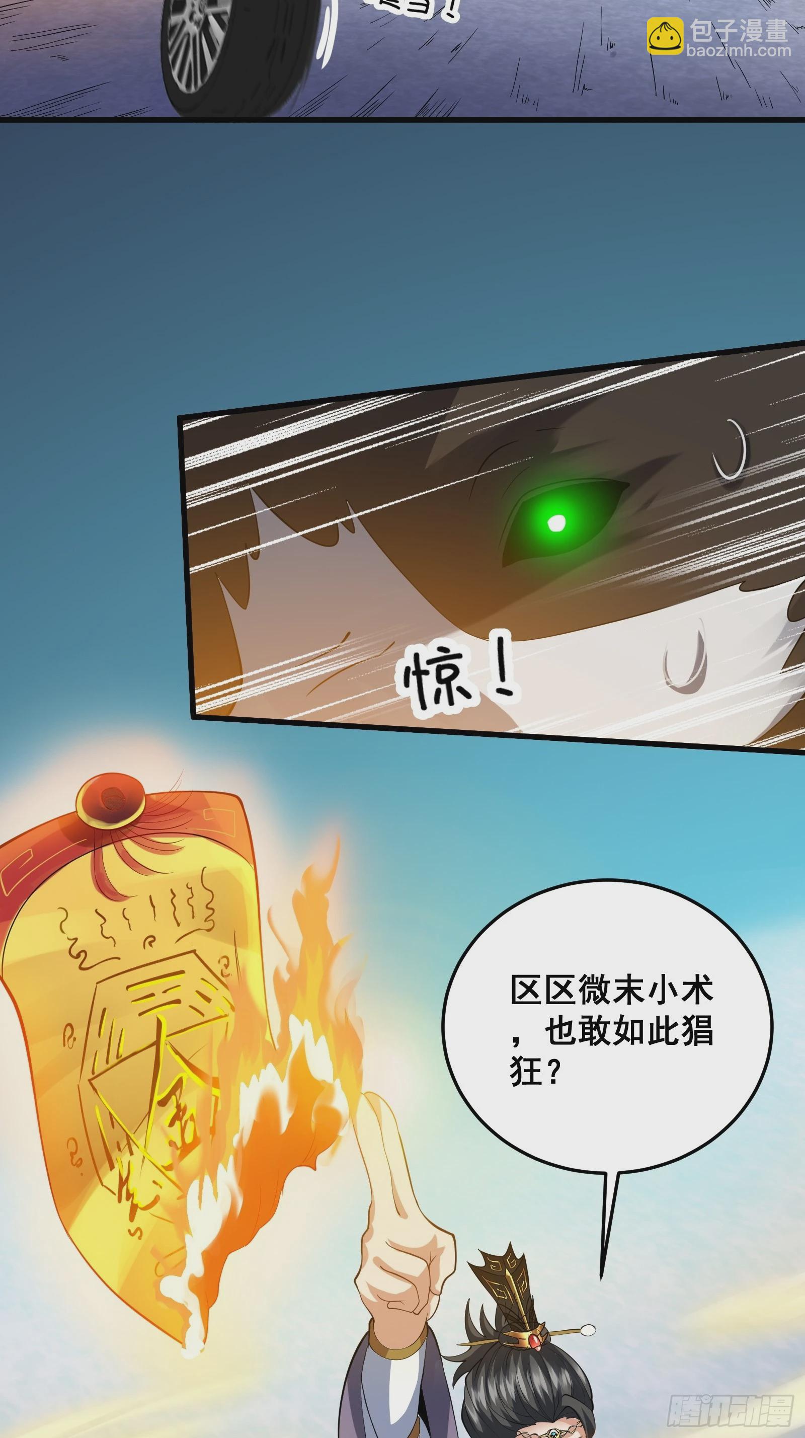 《国术？贫道不会，我只会雷法！》009 天师符咒 第48页
