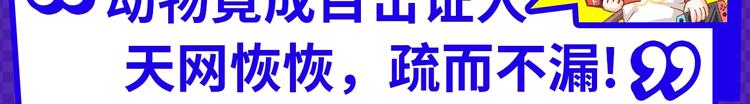 《新作安利》12月男生新作安利 第12页