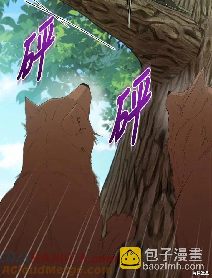 《不可接近的小姐》第97话 第5页