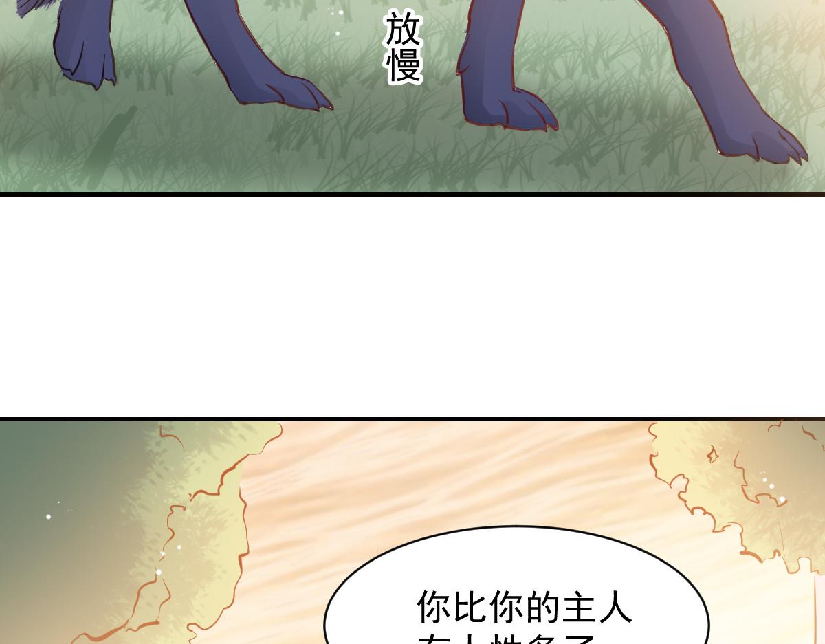 《兽王的专宠》第52话 第43页
