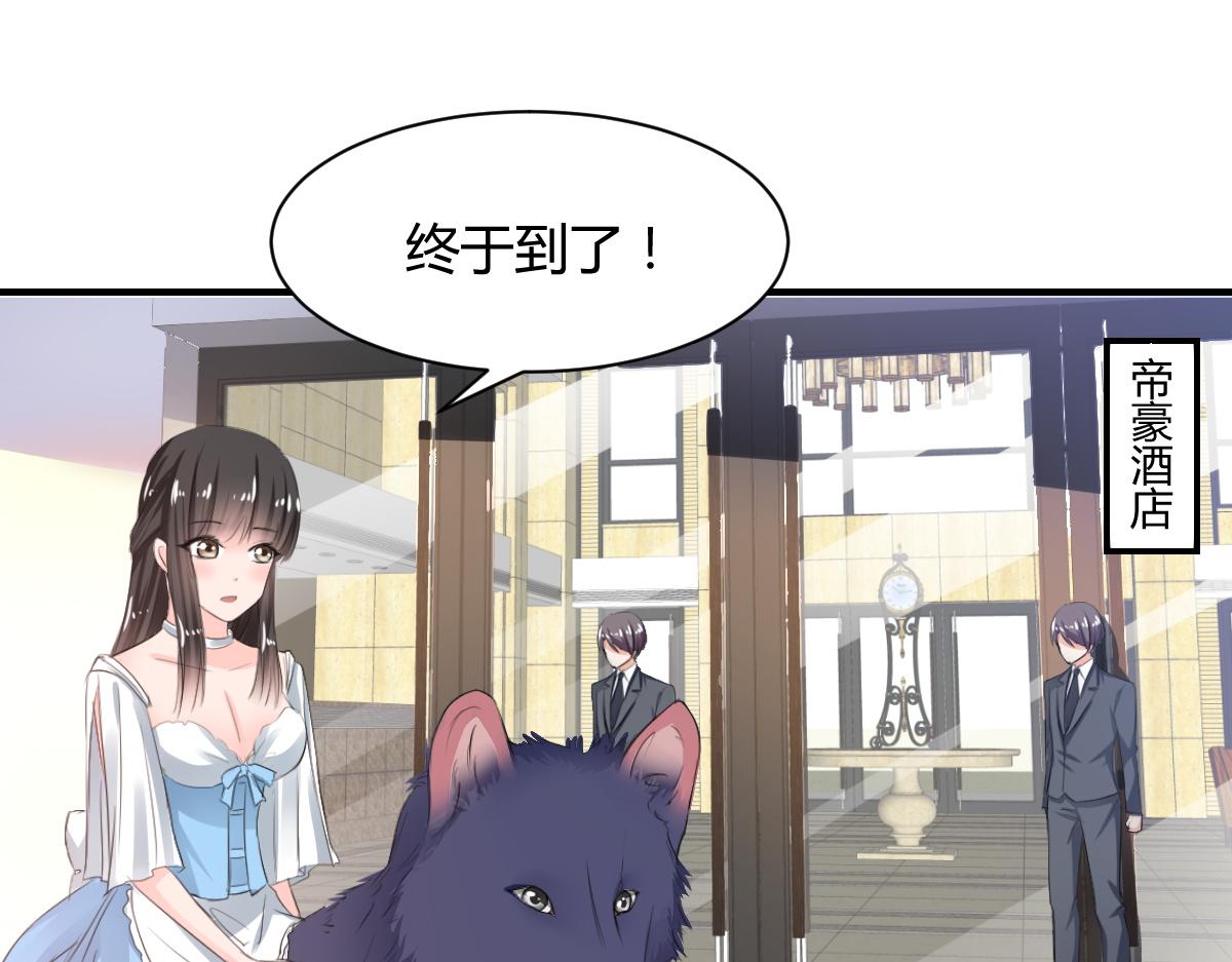 《兽王的专宠》第68话 第21页