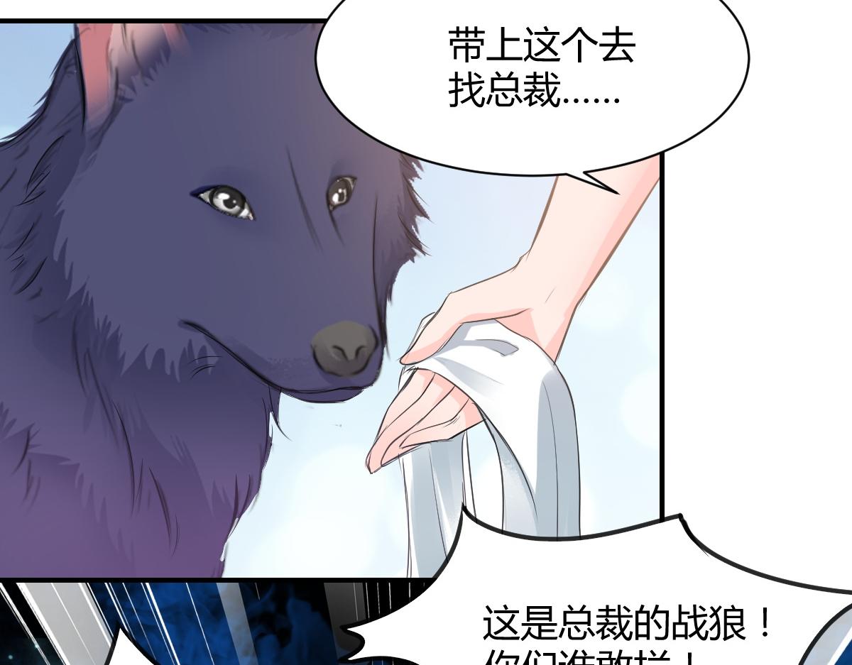 《兽王的专宠》第68话 第31页