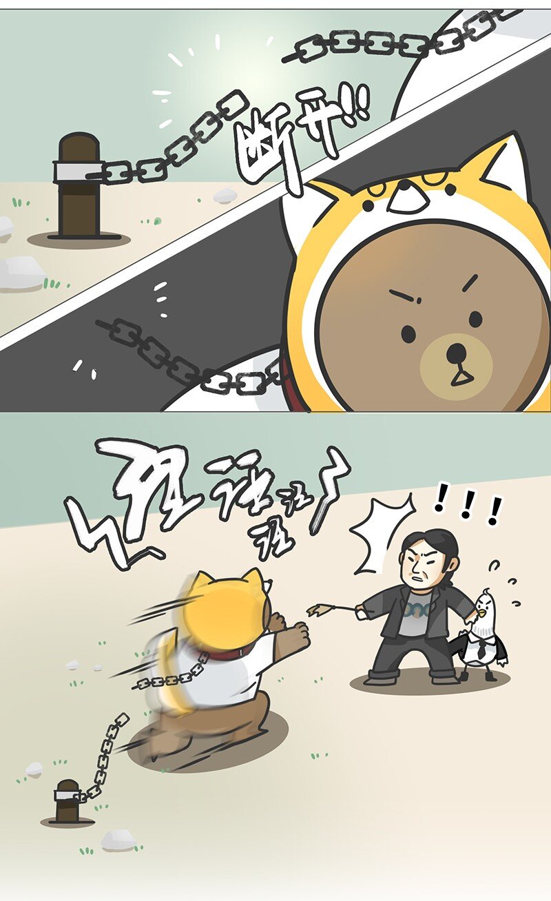 《好冷鸭游戏科普漫画》009 宫本茂与锁链狗 第5页