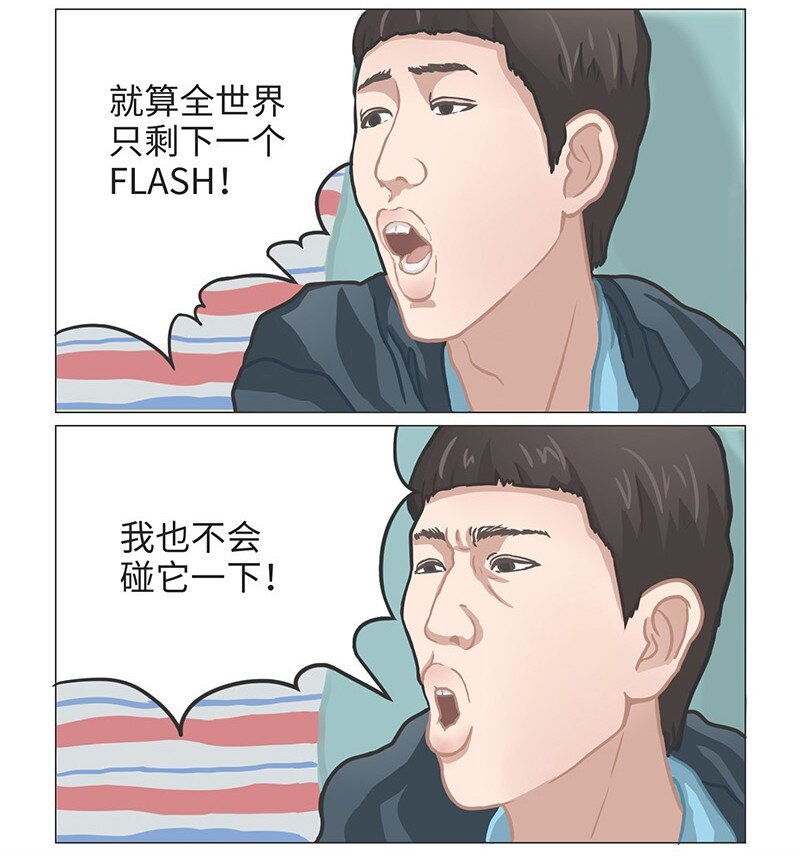 《好冷鸭游戏科普漫画》025 FLASH的兴衰 第8页