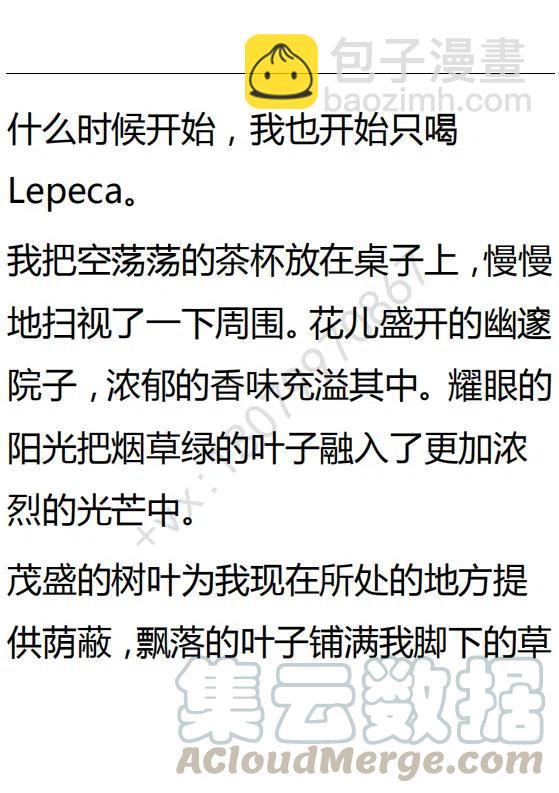 《小说版可爱的公主殿下》第87话 第13页
