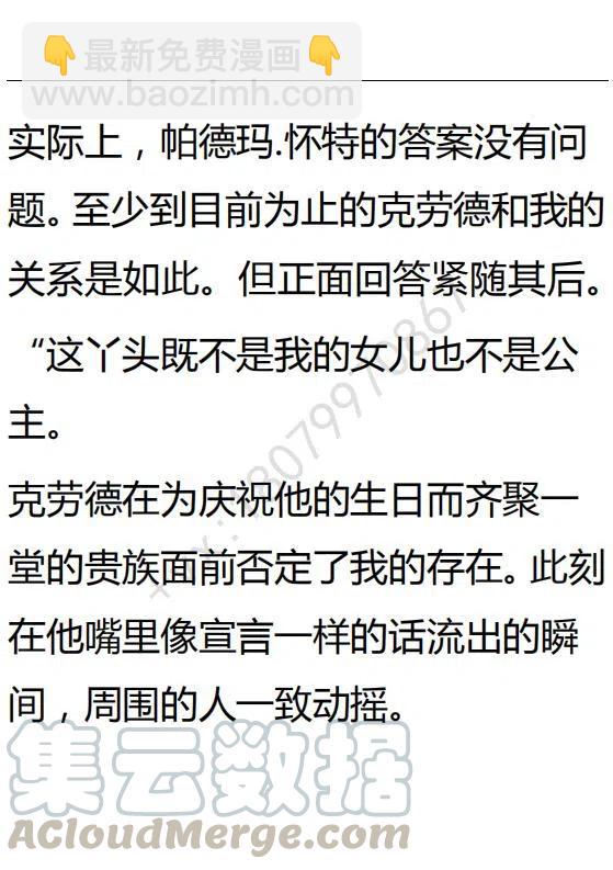 《小说版可爱的公主殿下》第88话 第19页