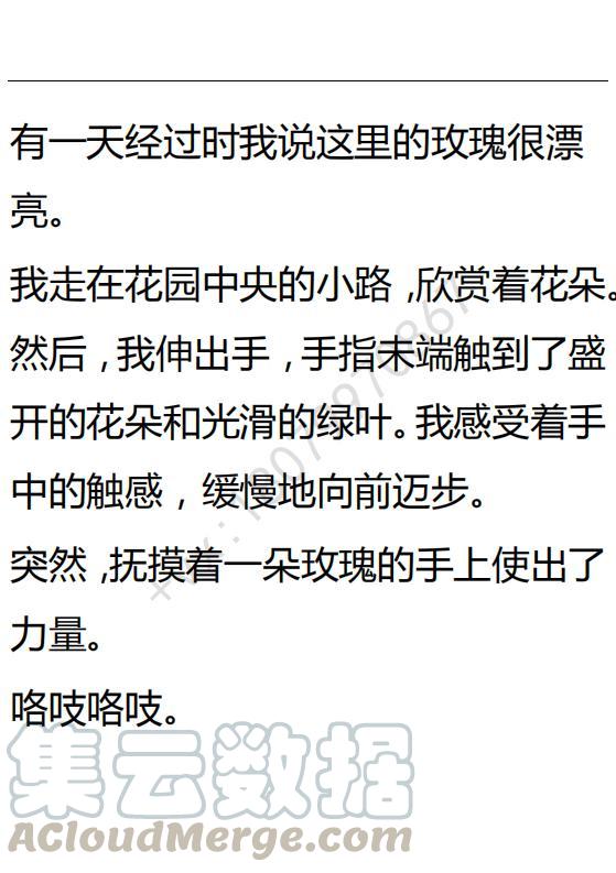 《小说版可爱的公主殿下》第91话 第11页