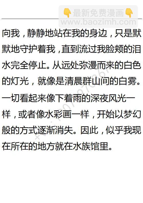 《小说版可爱的公主殿下》第89话 第22页