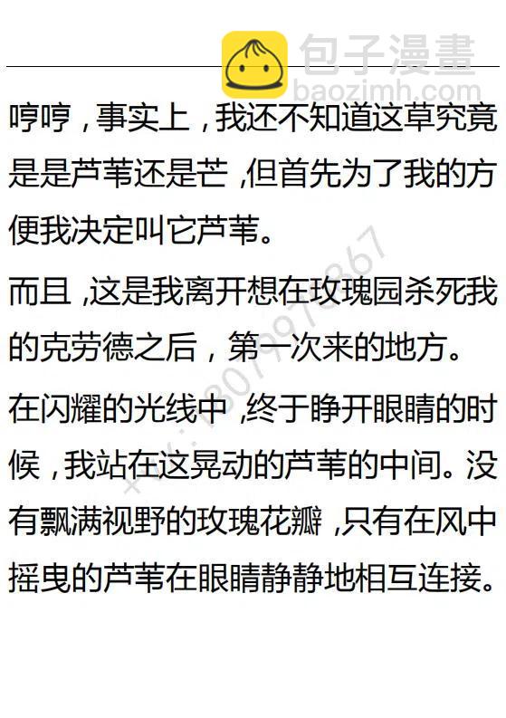 《小说版可爱的公主殿下》第96话 第18页
