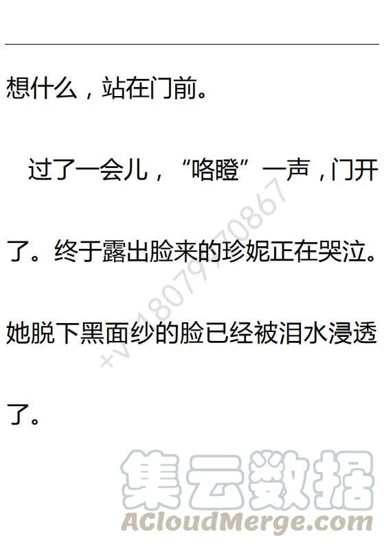 《小说版可爱的公主殿下》第103话 第13页