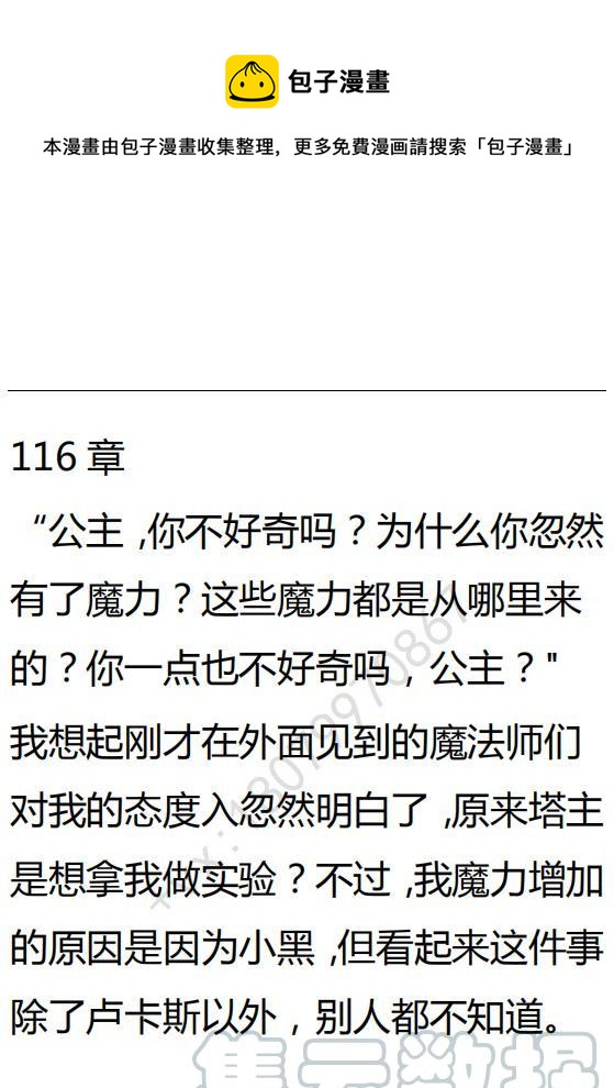 《小说版可爱的公主殿下》第116话 第1页
