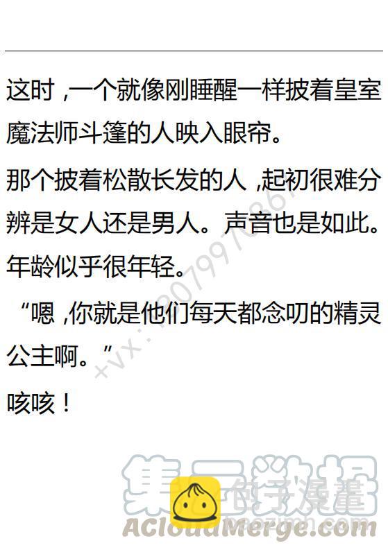 《小说版可爱的公主殿下》第114话 第15页
