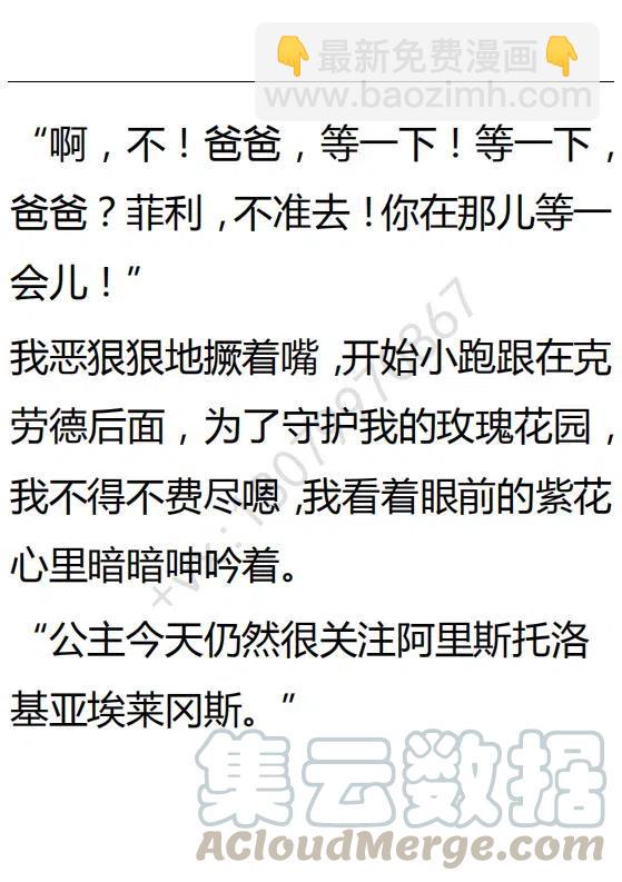 《小说版可爱的公主殿下》第125话 第29页