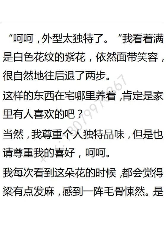 《小说版可爱的公主殿下》第125话 第30页