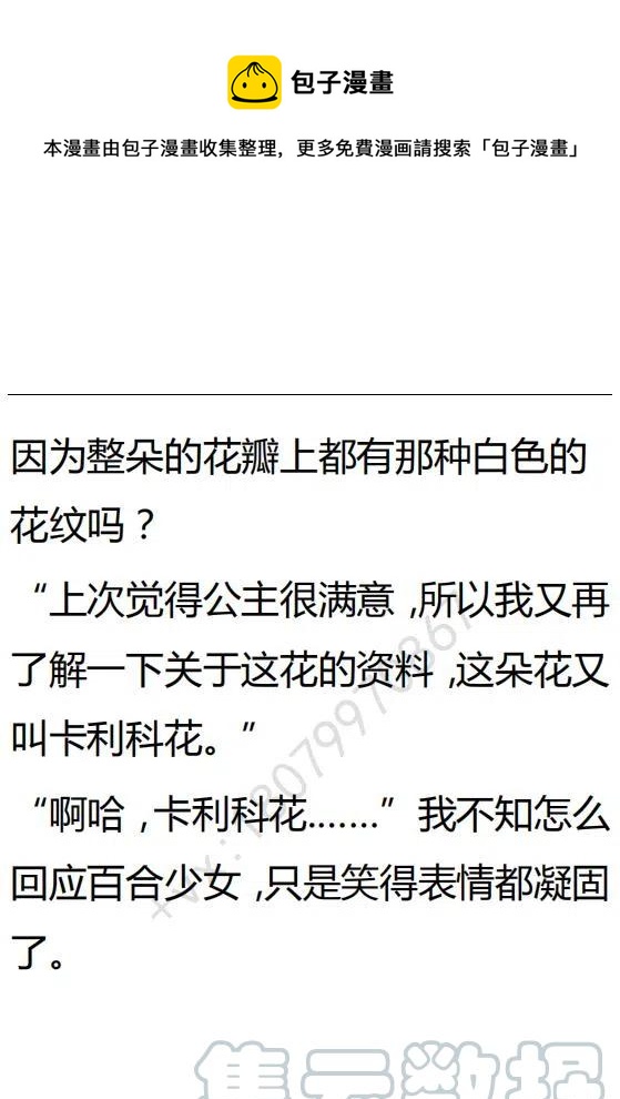《小说版可爱的公主殿下》第125话 第31页