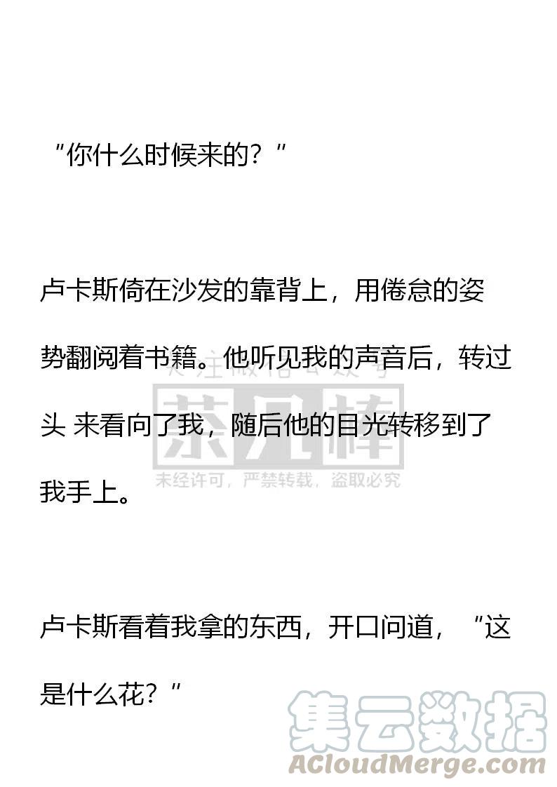 《小说版可爱的公主殿下》第139话 第25页
