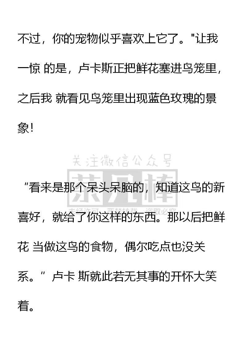 《小说版可爱的公主殿下》第139话 第30页