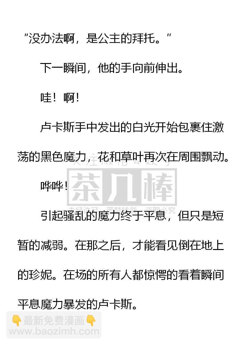 《小说版可爱的公主殿下》第160话 第6页