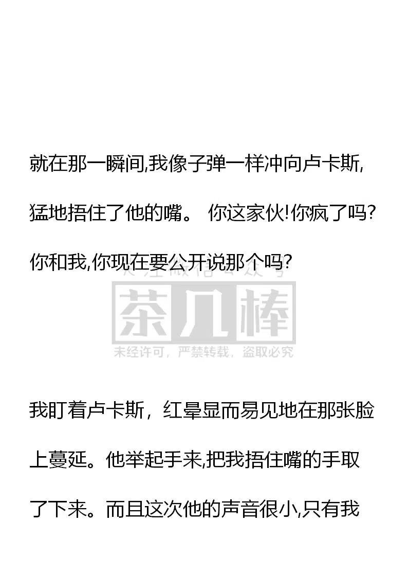 《小说版可爱的公主殿下》番外一 3 第30页
