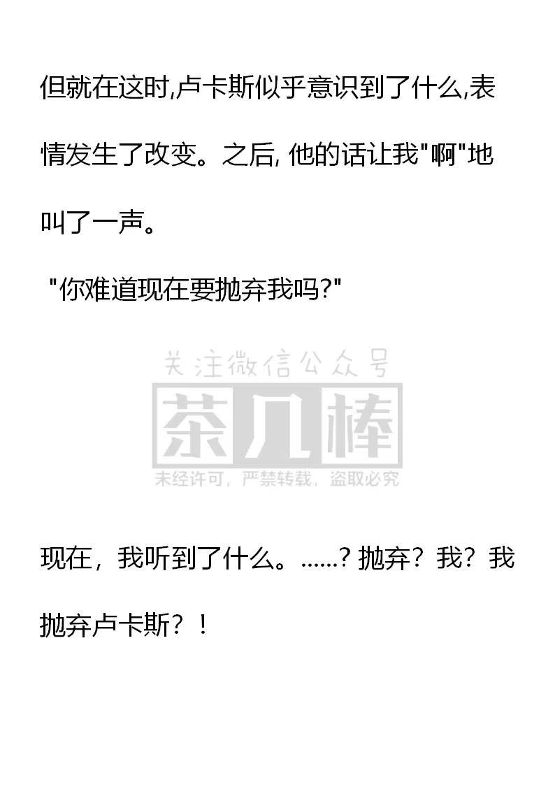 《小说版可爱的公主殿下》番外一 3 第33页