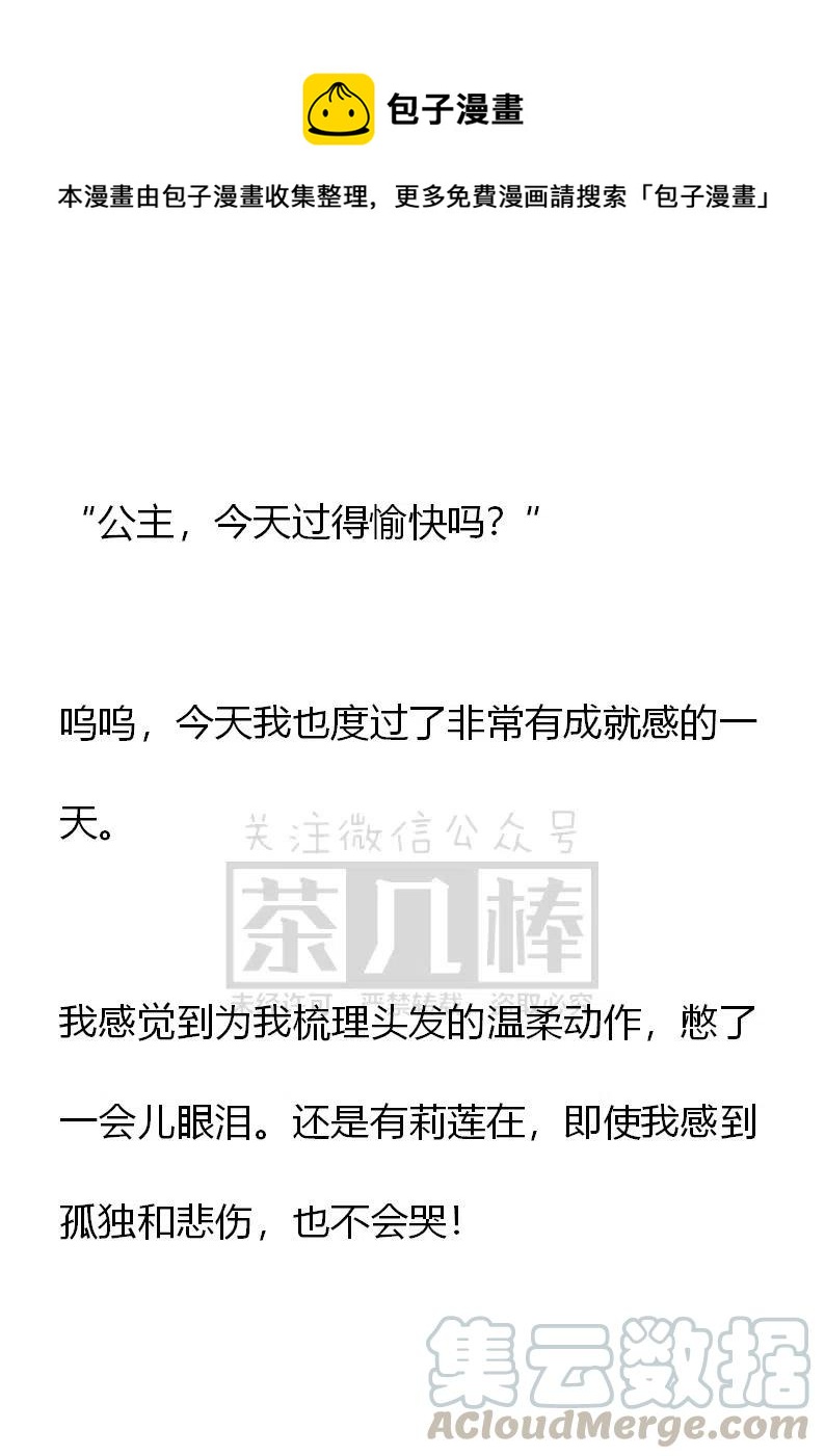 《小说版可爱的公主殿下》第二季完结 第9页