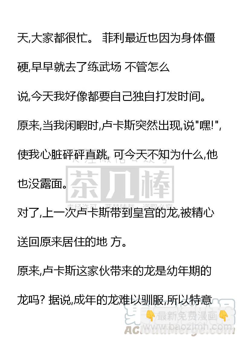 《小说版可爱的公主殿下》番外一 4 第6页