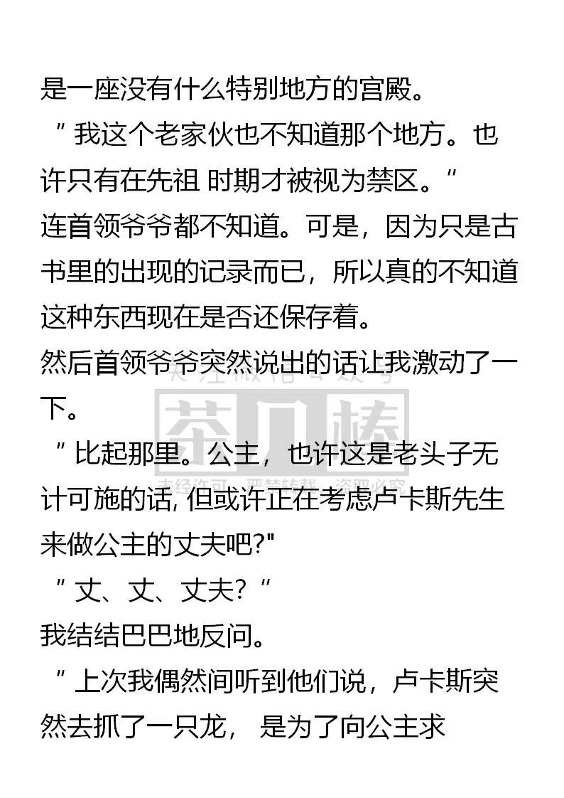 《小说版可爱的公主殿下》番外二 1 第4页