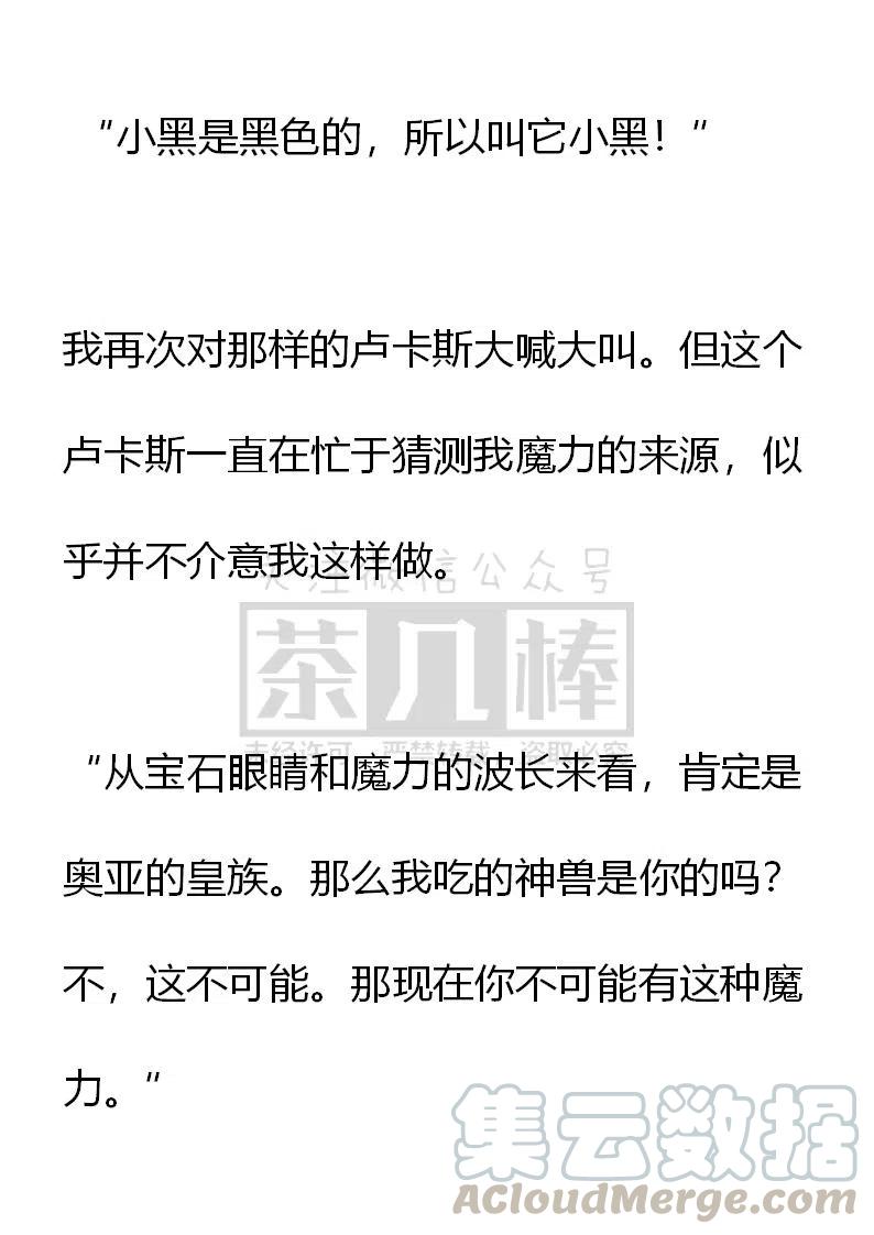 《小说版可爱的公主殿下》番外二 5 第31页