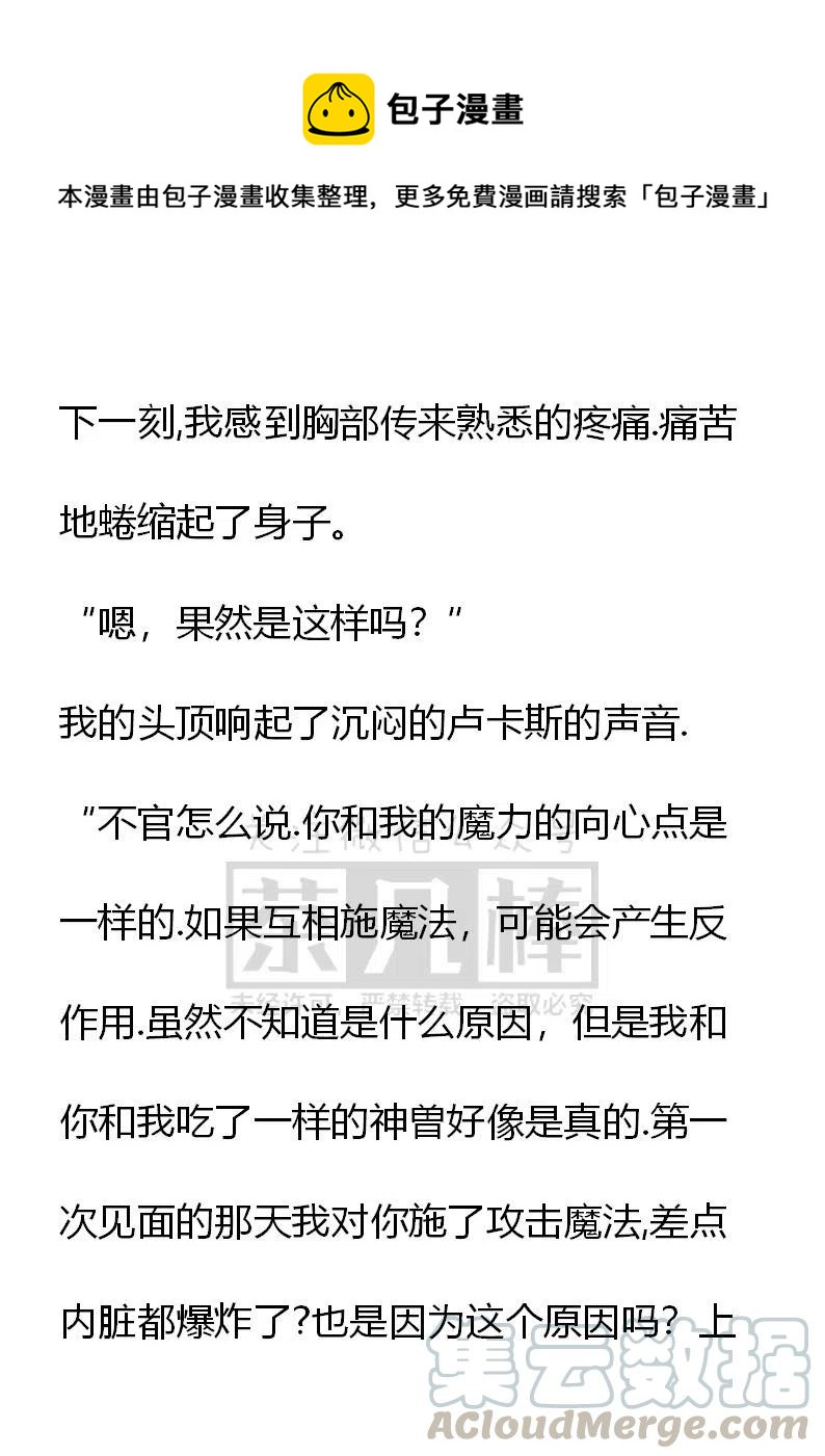 《小说版可爱的公主殿下》番外二 8 第13页