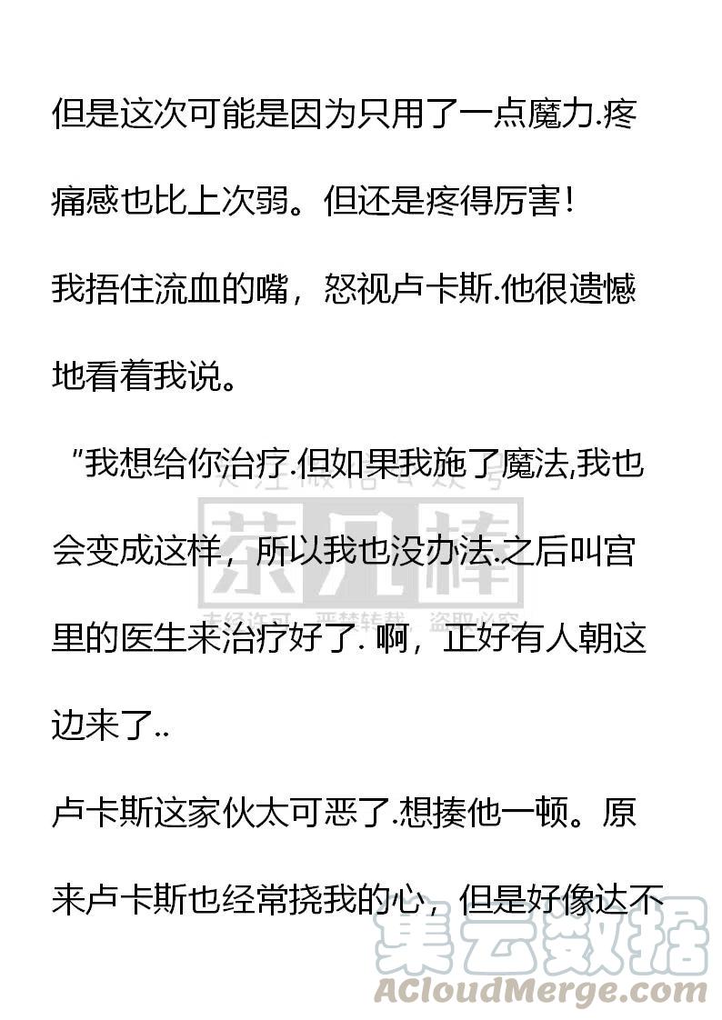 《小说版可爱的公主殿下》番外二 8 第15页