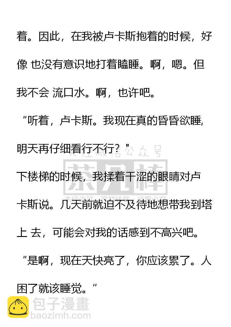 《小说版可爱的公主殿下》番外二 11 第18页