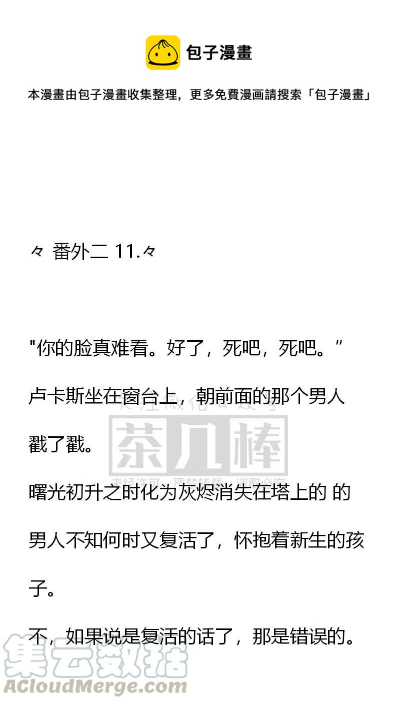 《小说版可爱的公主殿下》番外二 11 第1页