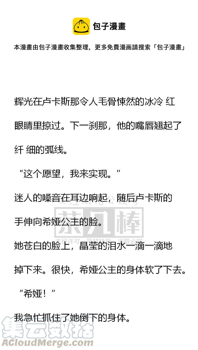 《小说版可爱的公主殿下》番外二 13 第13页