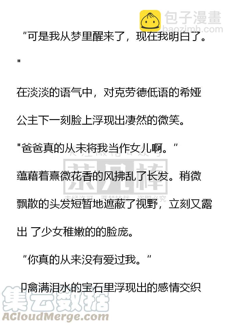 《小说版可爱的公主殿下》番外二 13 第3页