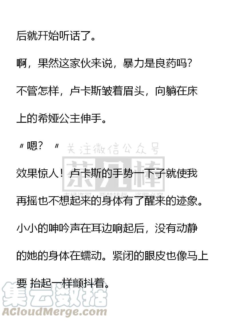 《小说版可爱的公主殿下》番外二 10 第17页