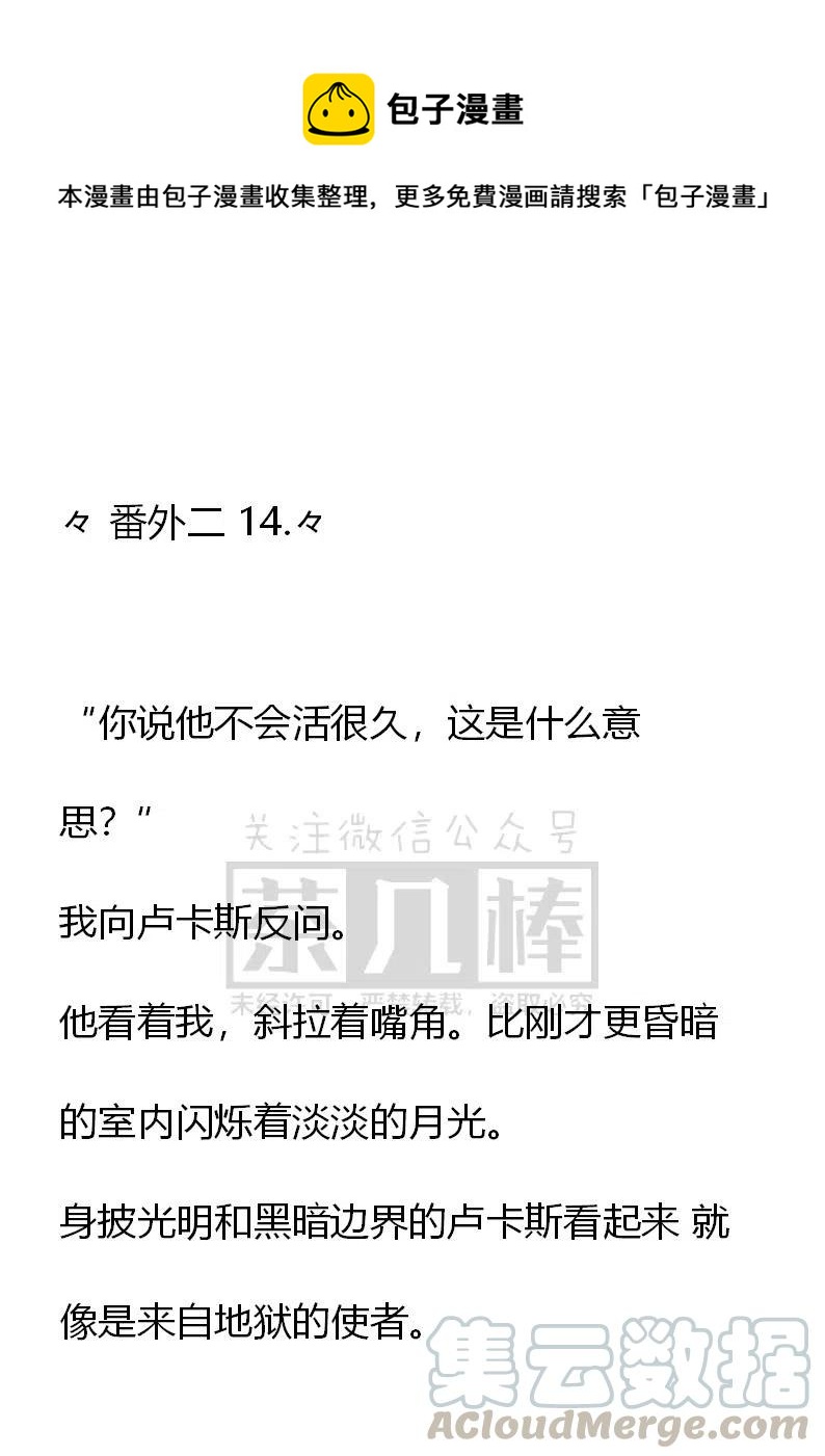 《小说版可爱的公主殿下》番外二 14 第1页