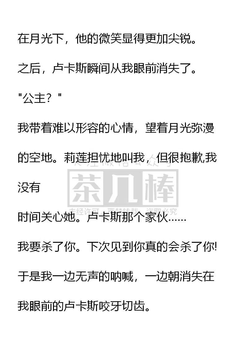 《小说版可爱的公主殿下》番外二 14 第24页