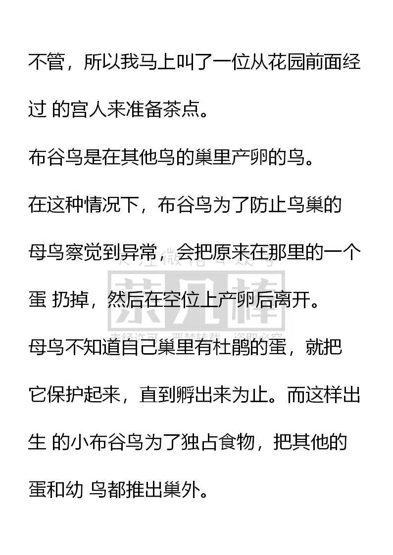 《小说版可爱的公主殿下》番外二 18 第4页