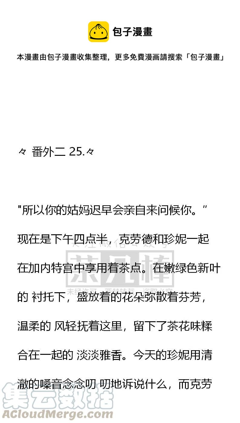 《小说版可爱的公主殿下》番外二 25 第1页