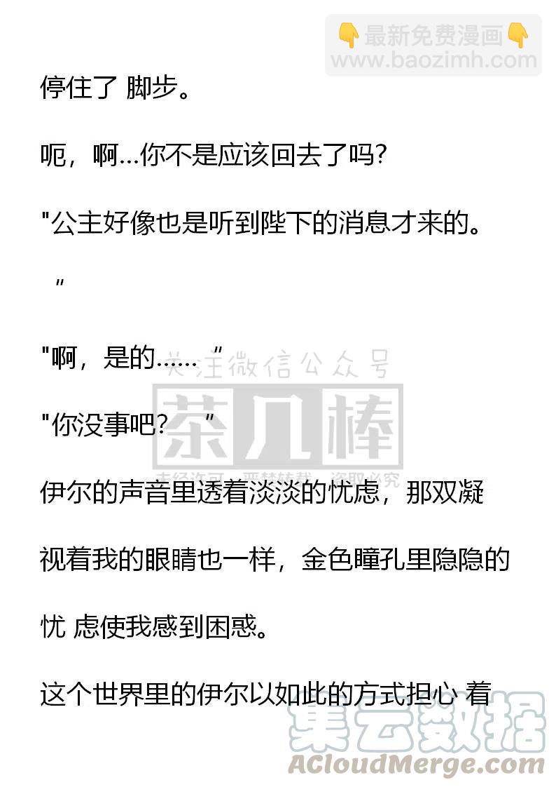 《小说版可爱的公主殿下》番外二 26 第15页