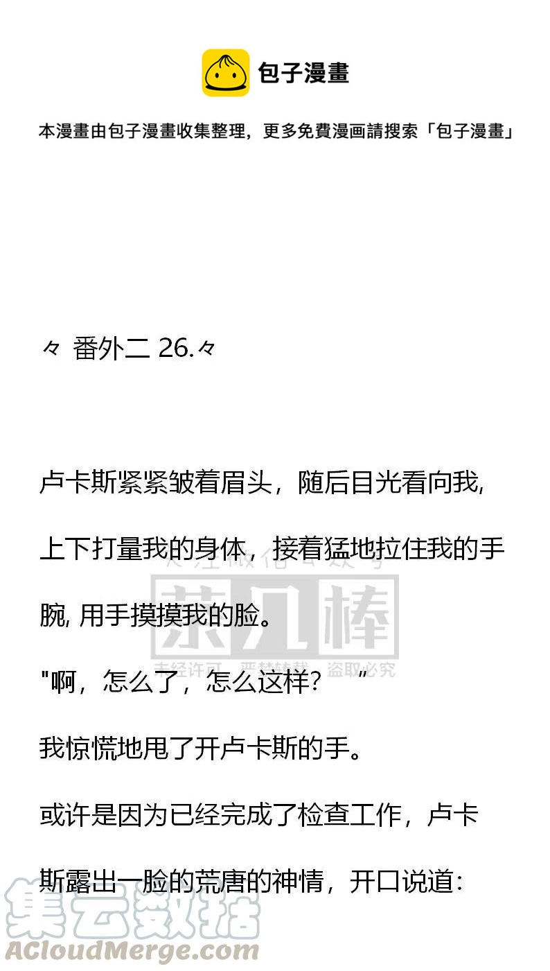 《小说版可爱的公主殿下》番外二 26 第1页