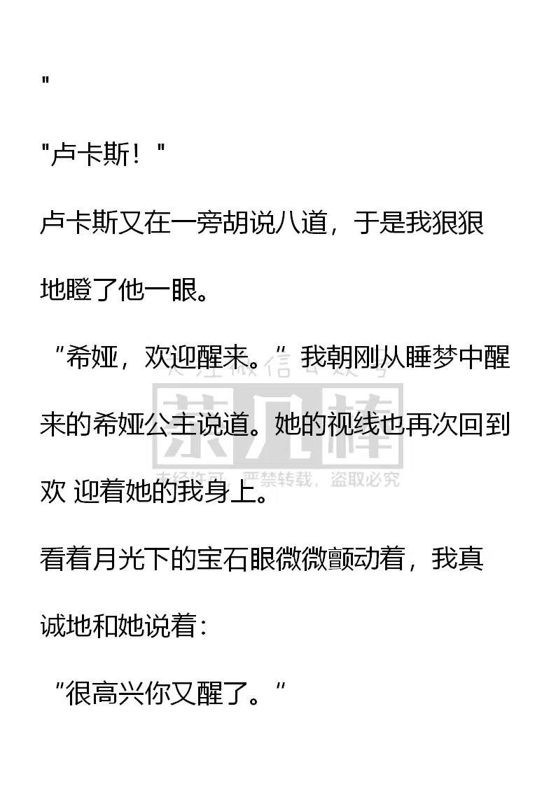 《小说版可爱的公主殿下》番外二 27 第12页