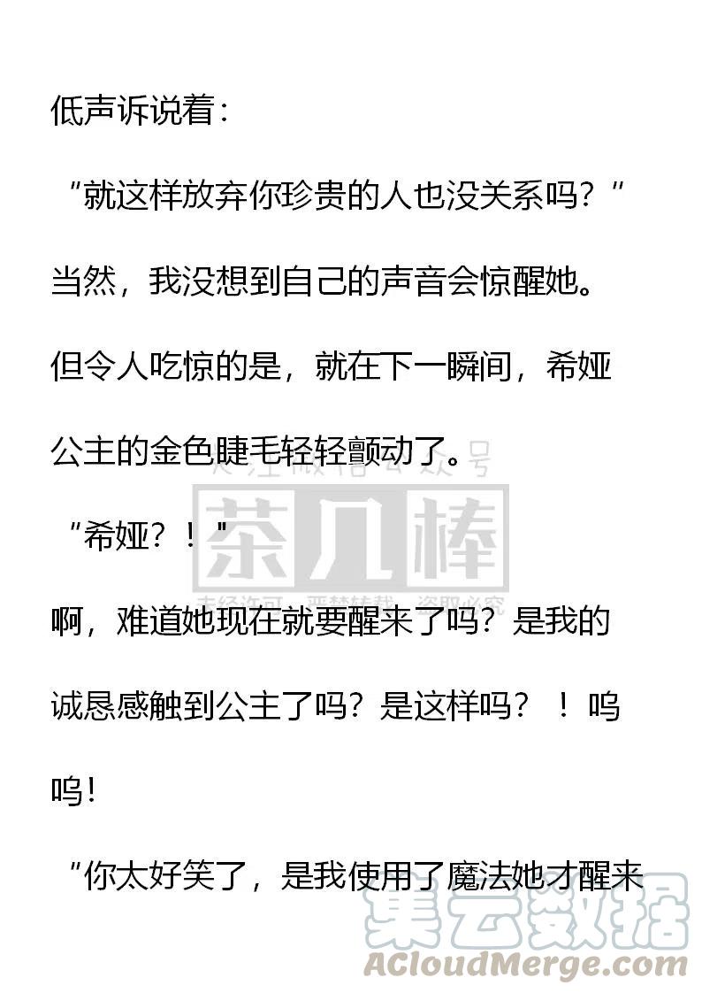 《小说版可爱的公主殿下》番外二 27 第9页