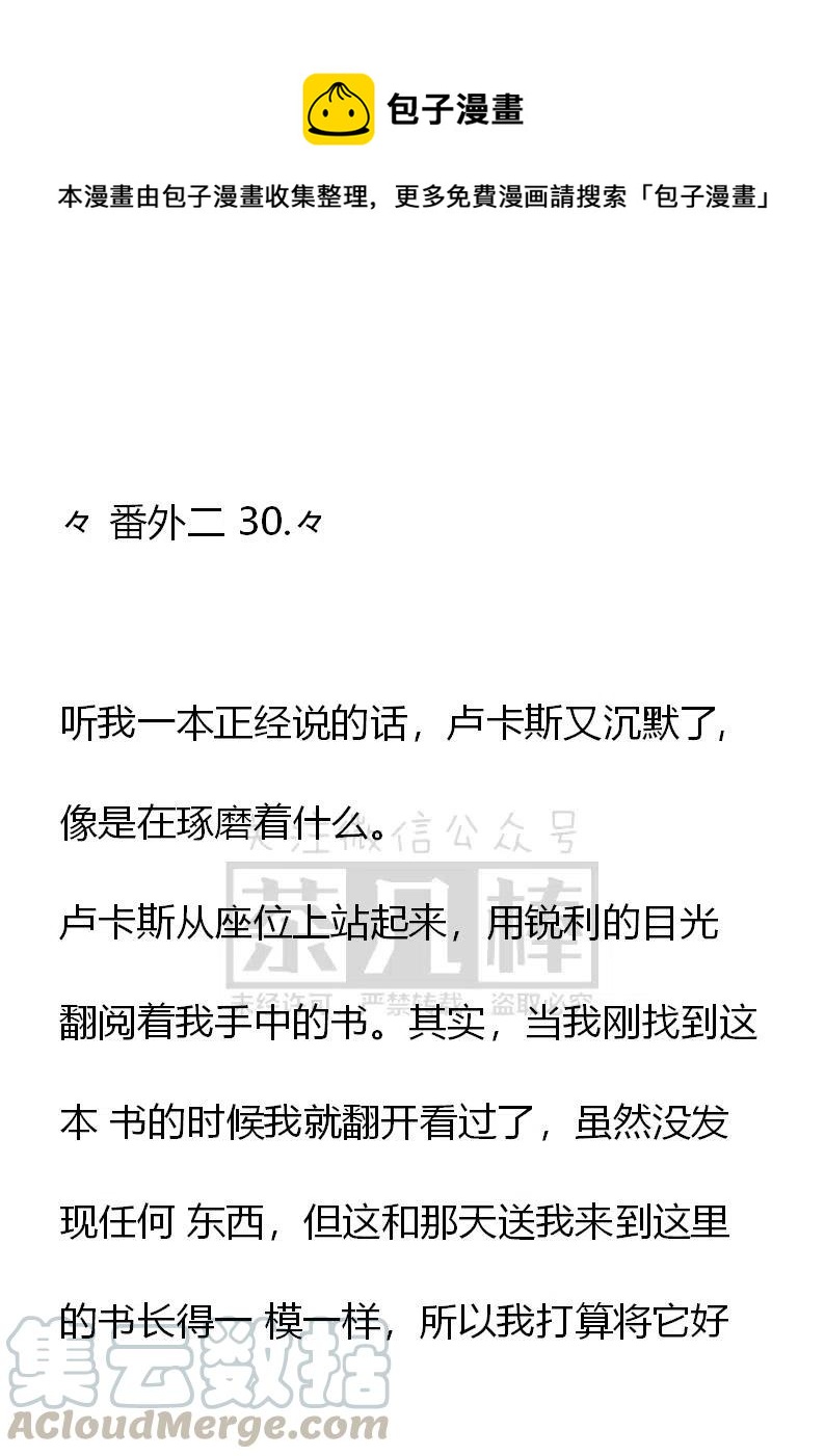 《小说版可爱的公主殿下》番外二 30 第1页