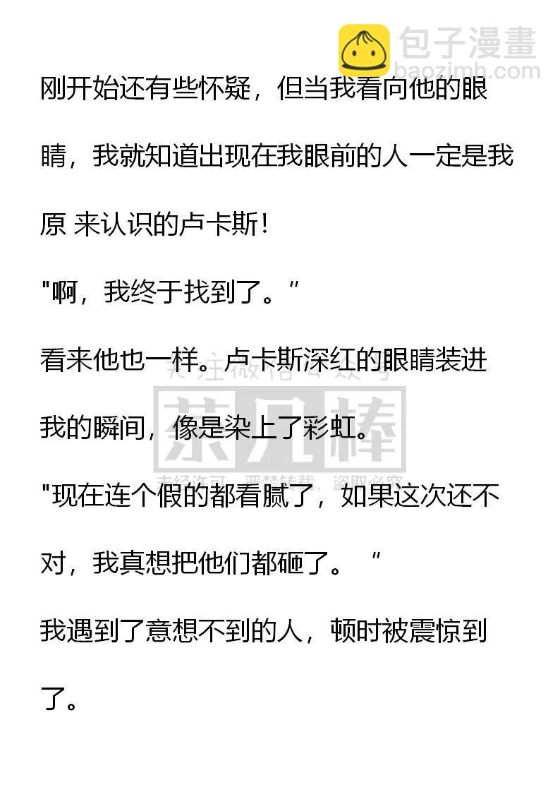 《小说版可爱的公主殿下》番外二 30 第6页