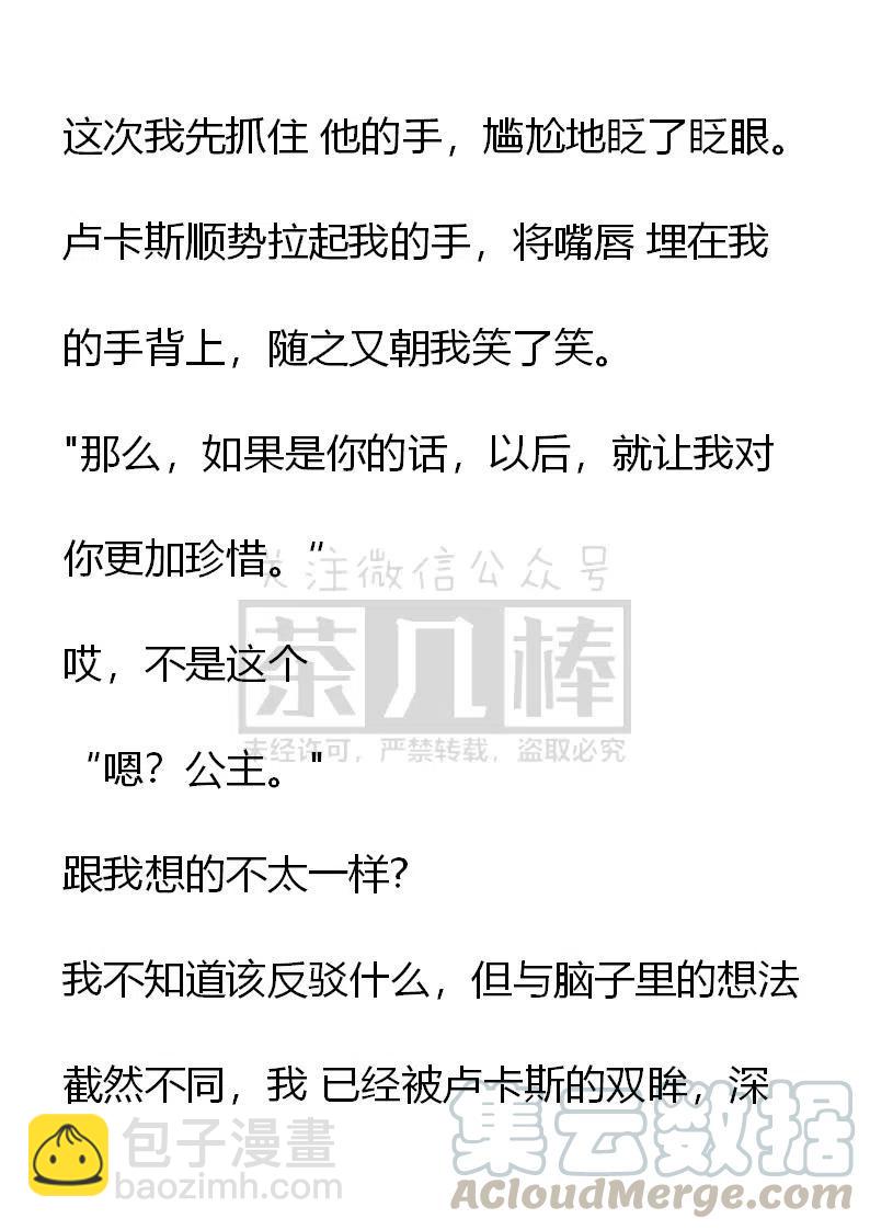 《小说版可爱的公主殿下》番外二 34 第11页