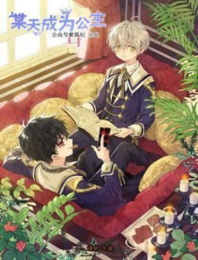 《小说版可爱的公主殿下》漫画封面图 - tl漫画