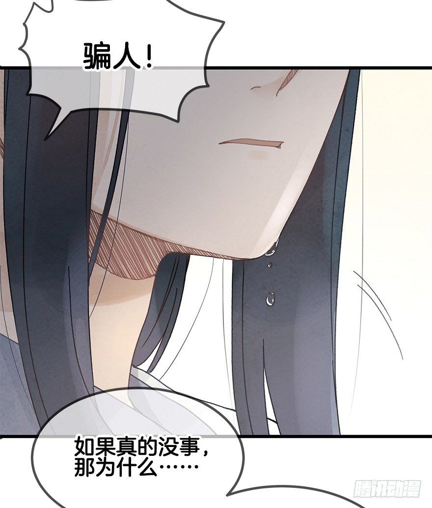 《镜·朱颜》第二十二镜·愤怒 第41页
